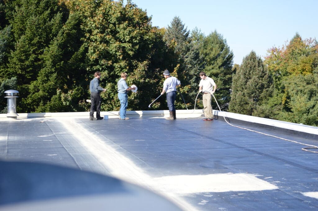 SINGLE-PLY ROOFING IN KALEVA, MI