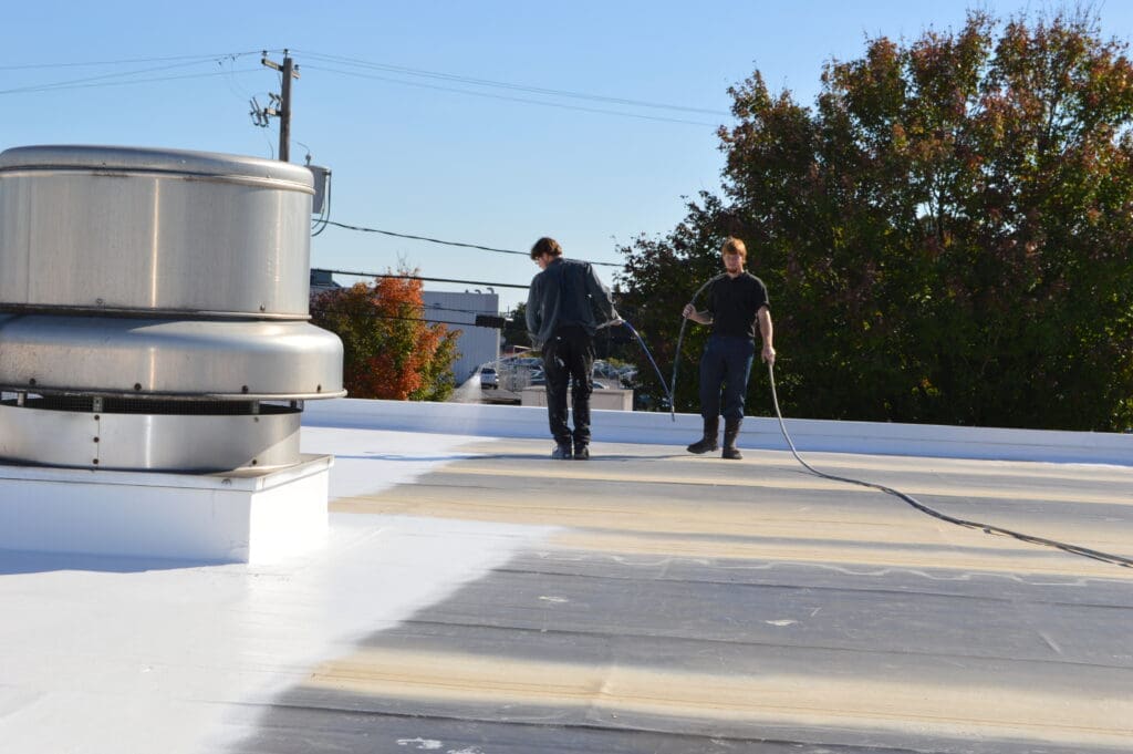 ROOF MAINTENANCE IN KALEVA, MI