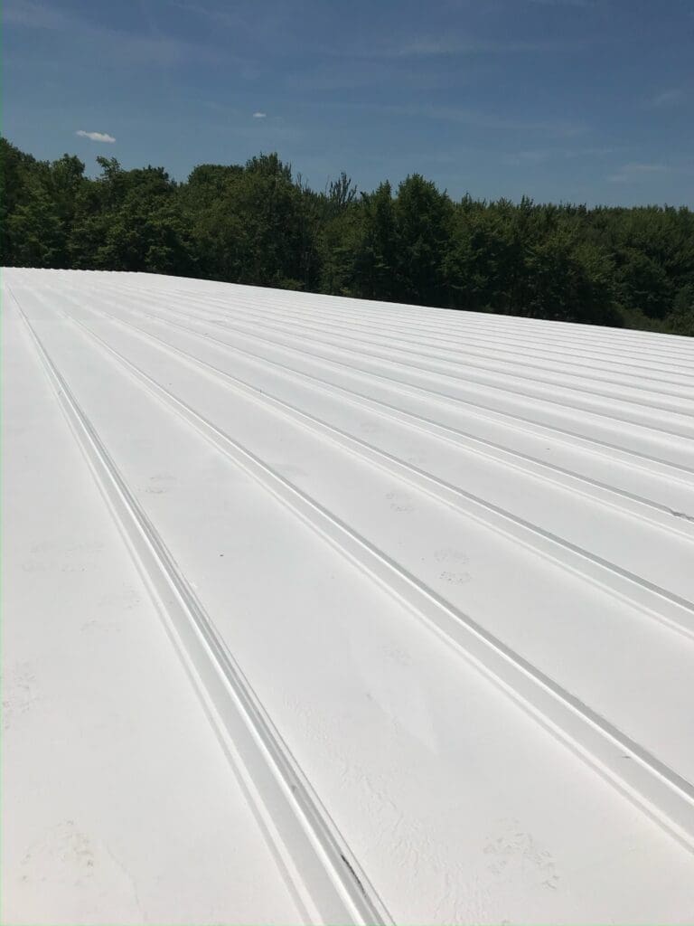 METAL ROOF RESTORATION SERVICE